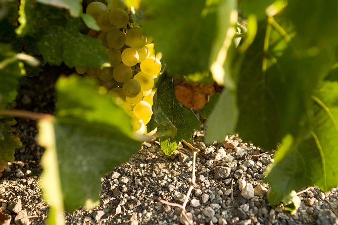 Santorini Wine Tour: Taste 12 best wines & 3 beers with pairings - Art Space brings character and atmosphere