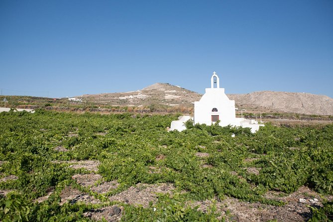 Santorini Wine Tour: Taste 12 best wines & 3 beers with pairings - The guide often shapes the whole experience