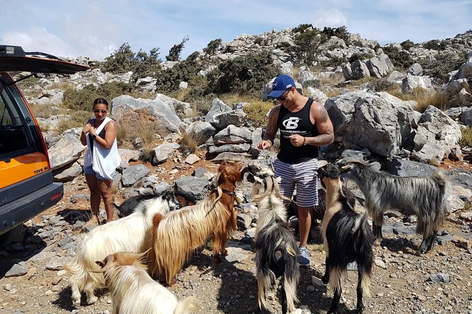 Sarakina Gorge, Kritza, Oliveoil Tasting, Mountains, South Coast - The pine forest and the rough mountain drive