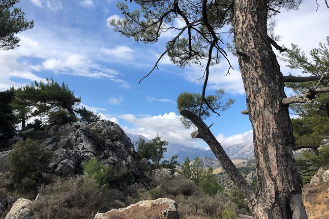 Sarakina Gorge, Kritza, Oliveoil Tasting, Mountains, South Coast - A proper mountain lunch with wine and raki