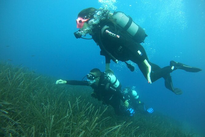 Scuba Diving Experience in Santorini - Timing, transfers, and what to bring