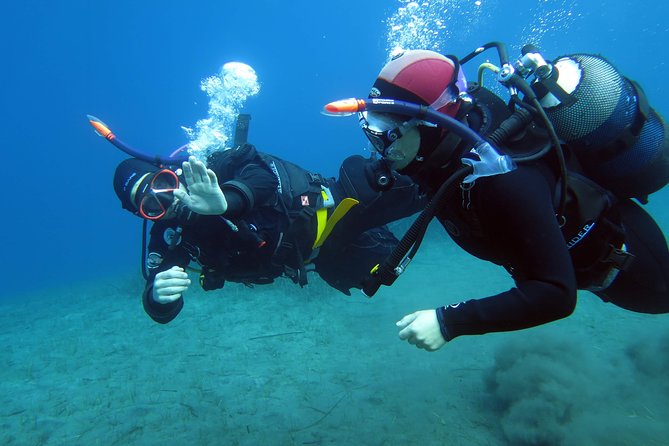 Scuba Diving Experience in Santorini - The volcanic reef and the first breath underwater