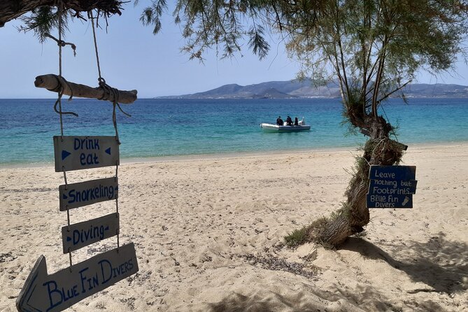 Scuba Diving in Naxos by Bluefindivers - Dive in Greece - Amazing Diving Spots - Who Will Get the Most From This Session