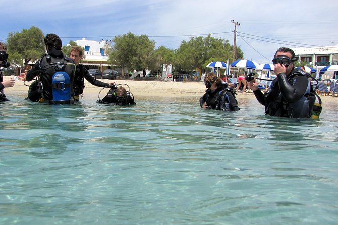 Scuba Diving in Naxos by Bluefindivers - Dive in Greece - Amazing Diving Spots - Forty-Five Minutes Among Mediterranean Sea Life