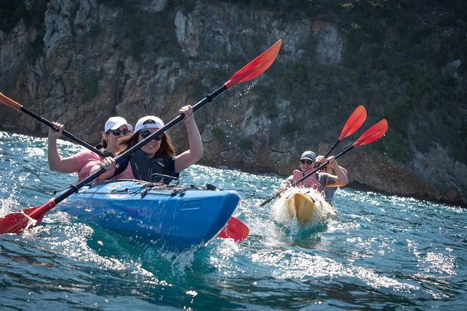 Sea Kayaking in Navarino Bay - Key points to know before you book