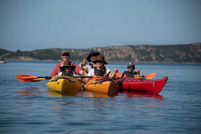 Sea Kayaking in Navarino Bay - Is $106.13 a fair price?