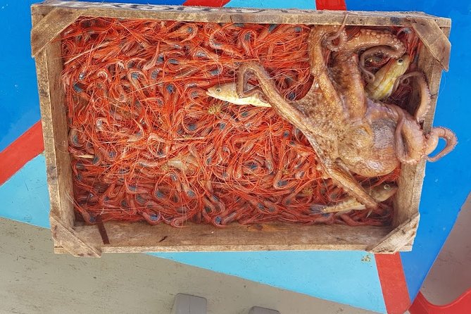 Semi - Private Fishing Tour (transportation included) - Fresh fish, Greek sides, and unlimited drinks