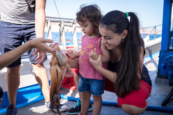 Semi - Private Fishing Tour (transportation included) - Pulling nets and learning Greek fishing methods
