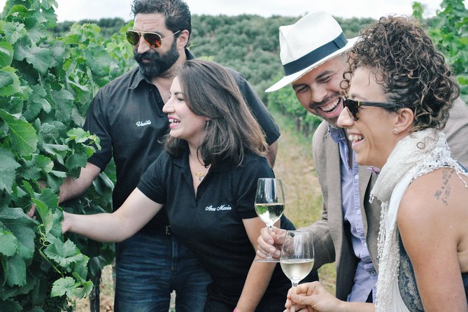 Semi-Private Wine Discovery Tour in Chania - The essential details at a glance