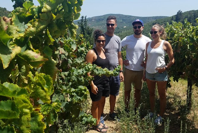 Semi-Private Wine Discovery Tour in Chania - Karavitakis Winery: your first look at Cretan wine