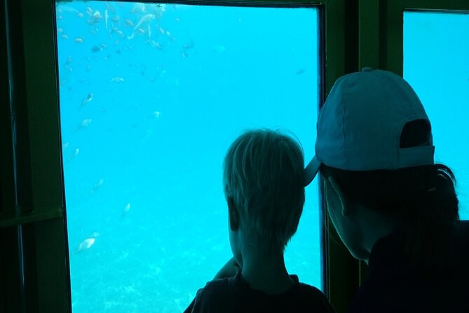 Semi-Submarine Tour from Agios Nikolaos - Is $18.92 a fair price?