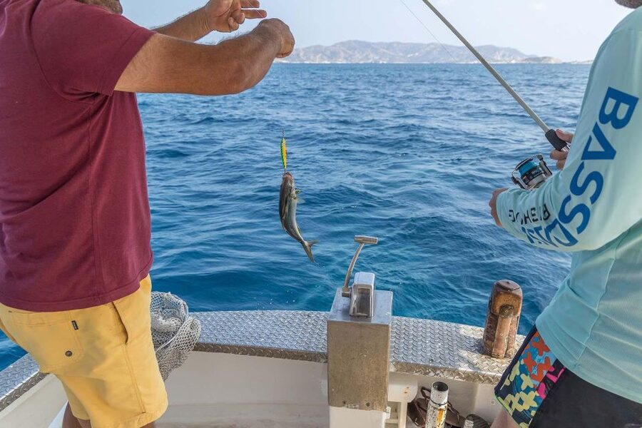 Shared Morning Cruise from Pollonia to Polyaigos - Captain Andreas makes the difference