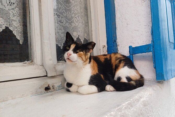 Sightseeing like a Mykonian(Small Group or Private) - Ano Mera, the island’s quieter village
