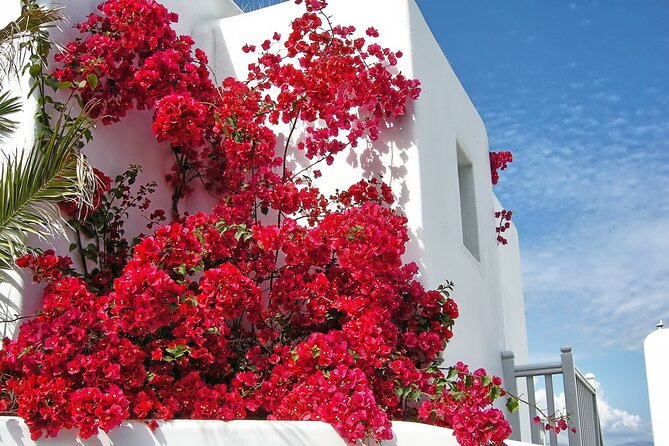 Sightseeing like a Mykonian(Small Group or Private) - Kalafatis brings a short beach break
