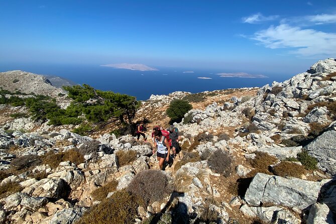 Small Group Hiking on Mount Akramitis in Rhodes - Walking the wooded path toward Limeri Cave