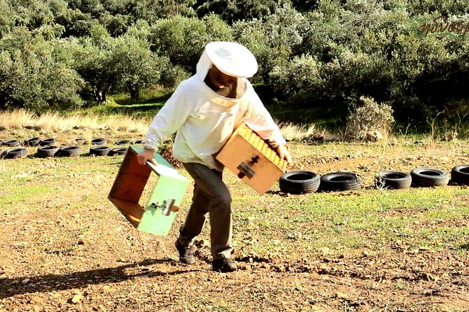 Small-Group Honey & Extra Virgin Olive Oil Tasting Tour in Crete - Key points about the Pervolakia tasting