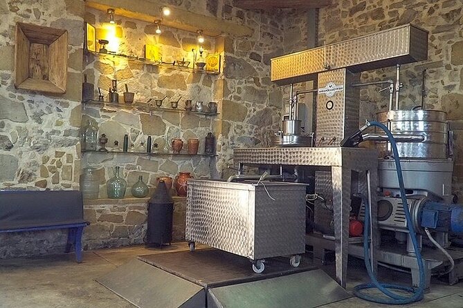 Small-Group Honey & Extra Virgin Olive Oil Tasting Tour in Crete - The tasting table with bread, cheese, and yogurt