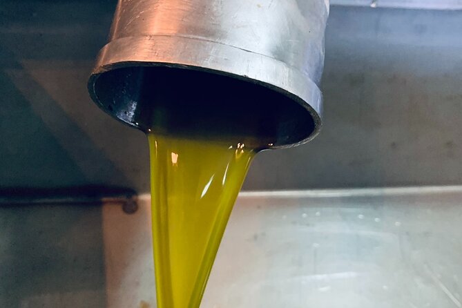 Small-Group Honey & Extra Virgin Olive Oil Tasting Tour in Crete - Seeing how olive oil is extracted