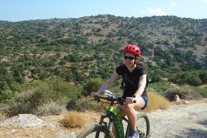 Small Villages and Cretan Nature. E-Bike tour - Olive cultivation explained on the road