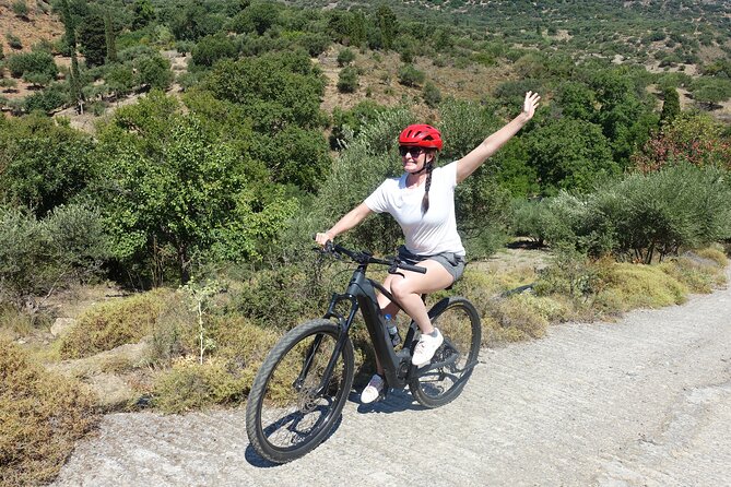 Small Villages and Cretan Nature. E-Bike tour - Bike quality, safety, and physical demands