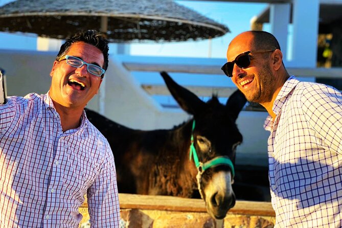 Smooth and Fun Taste of Santorini Private Tour - Should you book the Smooth and Fun Taste of Santorini tour?