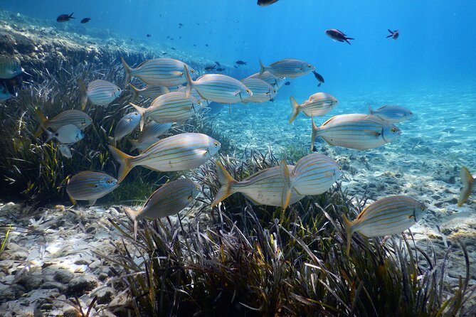 Snorkeling Adventure Trip - Meeting the team at Paradise Beach