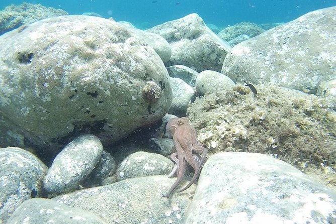 Snorkeling trip - Why this outing feels different from a beach swim