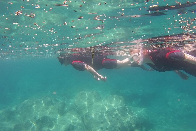 Snorkeling trip - Sea conditions can change the plan