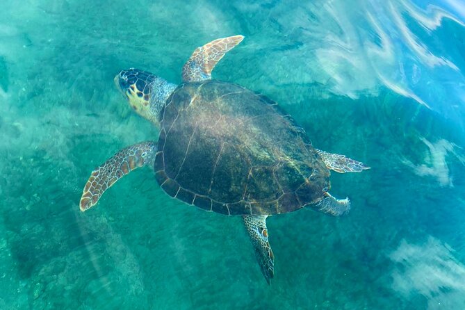 Stand-up Paddleboard Lazareta Experience Chania Crete (tour) - Starting at New Chora Beach