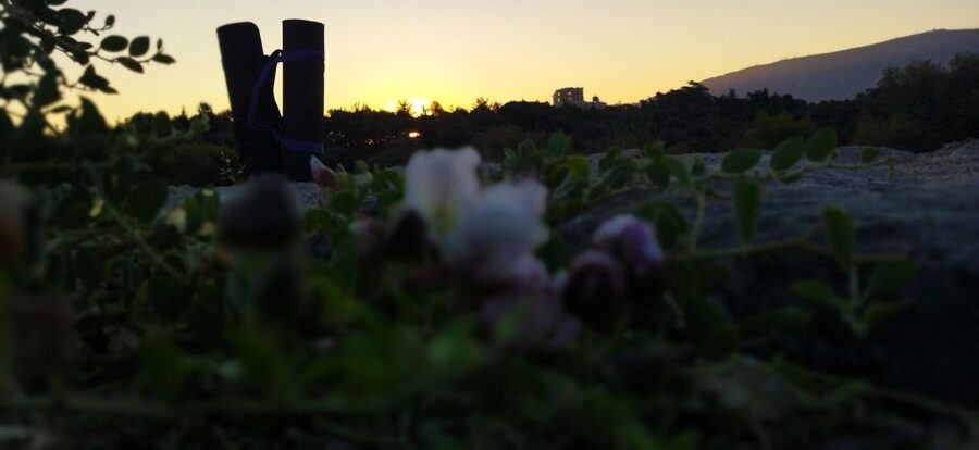 Sunrise Yoga & Meditation Acropolis & 360 view - Practical planning for your Athens morning
