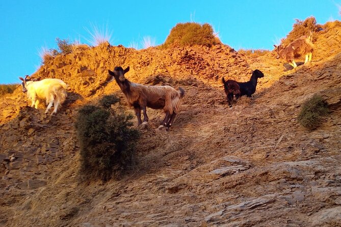 Sunset Jeep Tour in Crete - What the $99.21 price really covers