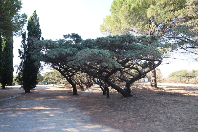 The Best of Rhodes & Lindos: Full Island Tour (Small Group) - The guides can shape the whole day
