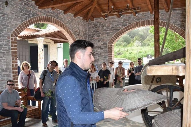 The Governor's Olive Mill Tour with Olive Oil Tasting - The oldest olive tree and extra Corfu sightseeing