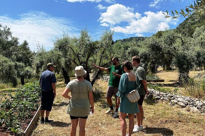 The Olive Oil Experience @ Lefkada Micro Farm - Learning to recognize real extra virgin olive oil
