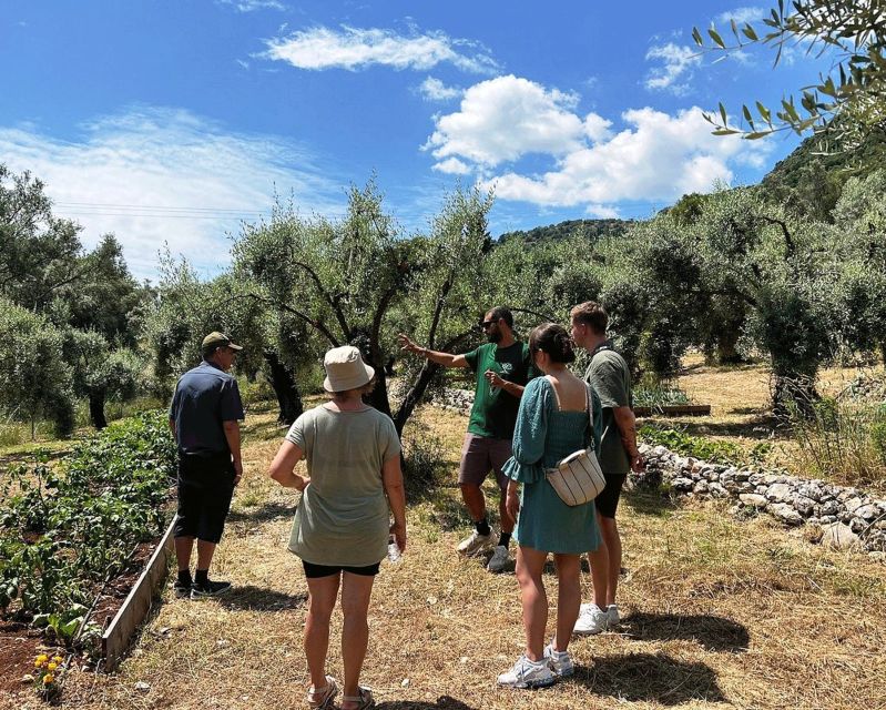 The Olive Oil Experience @ Lefkada Micro Farm - Who will enjoy this Lefkada food experience