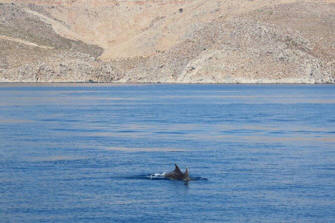 The Santa Maria 3 Island Cruise in the Aegean w/ Free Audio Guide - Why this Kos boat trip offers good value