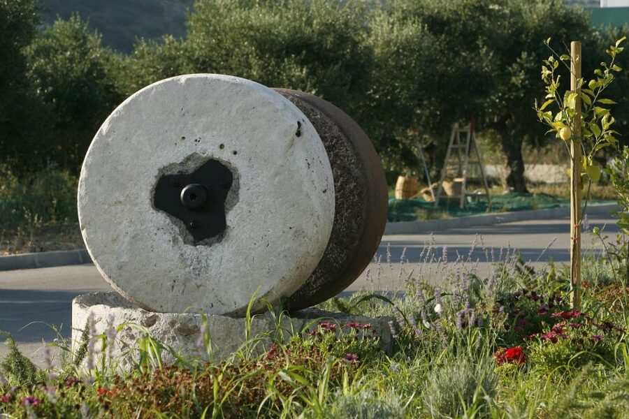 The Terra Creta Olive Oil Experience Tour - Why this small factory visit is worth your time