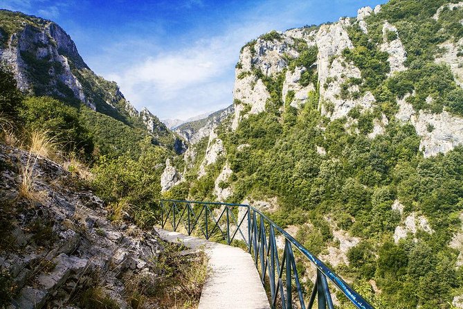 Thessaloniki: Bus Trip to Dion & Mt Olympus National Park - Comfort, group size, and the value of $59.65