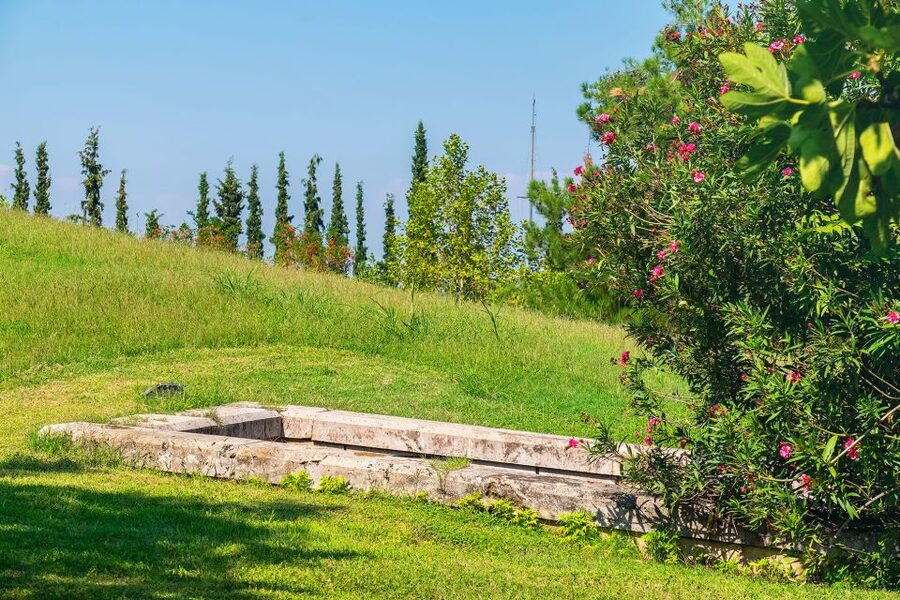 Thessaloniki: Vergina and Pella Day Trip - Should you book the Pella and Vergina day trip?