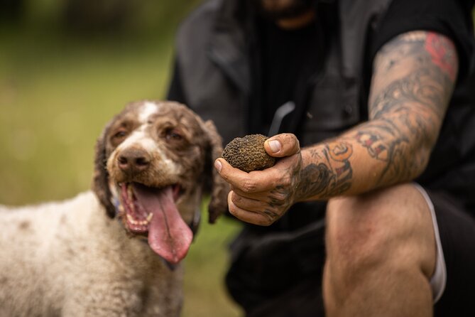 Truffle Hunting at Meteora - Walking with the dogs in the Pindos mountains