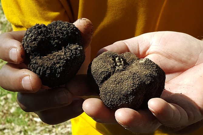 Truffle Hunting at Meteora - Who will enjoy this Meteora food experience?
