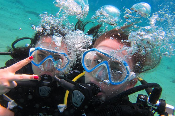 Try a DIVE, discover scuba diving in Mykonos - Key things to know before booking