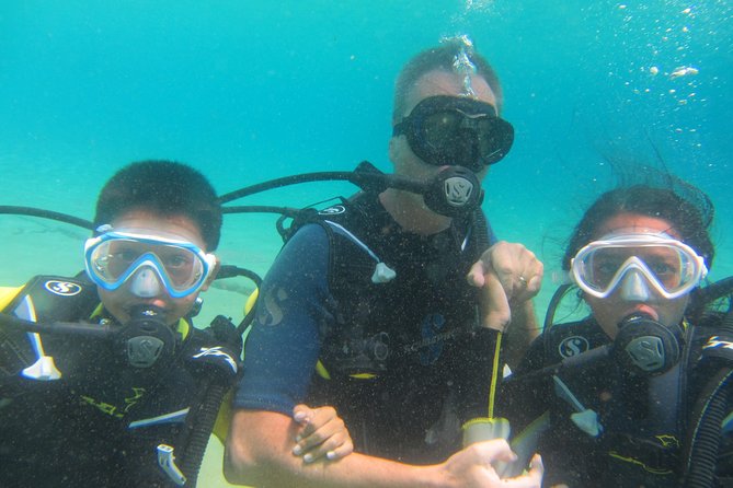 Try a DIVE, discover scuba diving in Mykonos - The 40 to 45 minute swim above Lia reef