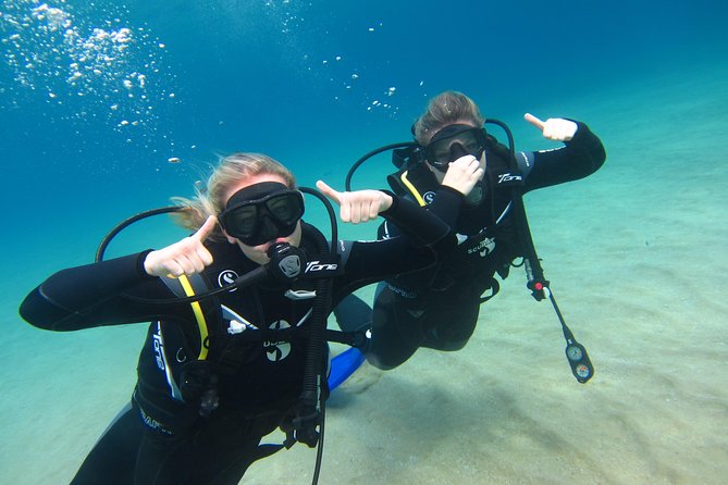 Try a DIVE, discover scuba diving in Mykonos - The photos are more valuable than they sound
