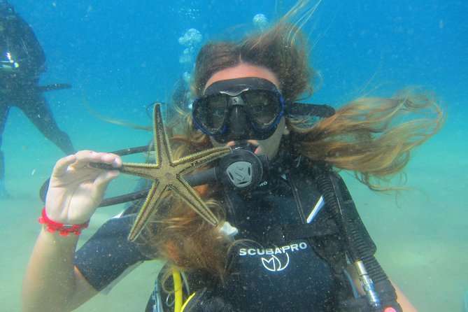 Try a DIVE, discover scuba diving in Mykonos - The first lesson: theory without the classroom drag