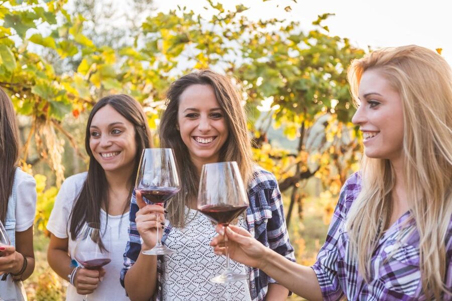 Vineyard Sips: Family Winery Tour & Gourmet Tasting in Corfu - Why the $46 price can make sense