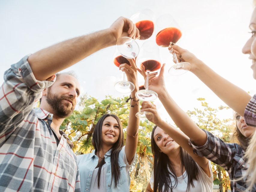 Vineyard Sips: Family Winery Tour & Gourmet Tasting in Corfu - Who will enjoy this winery tour most?