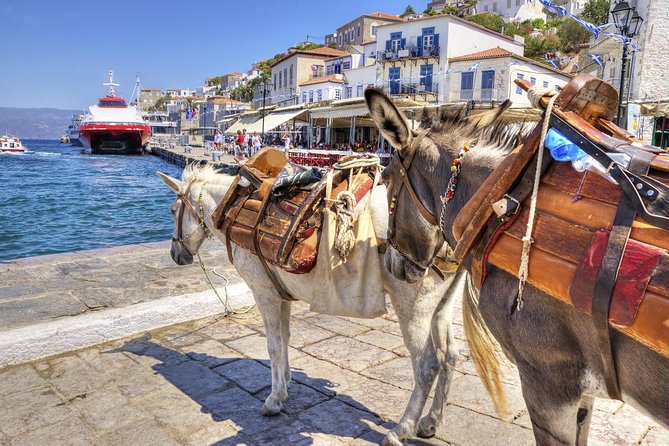 VIP Day Cruise from Athens to Hydra, Poros and Aegina - Hydra in 90 minutes: the cruise’s most memorable stop