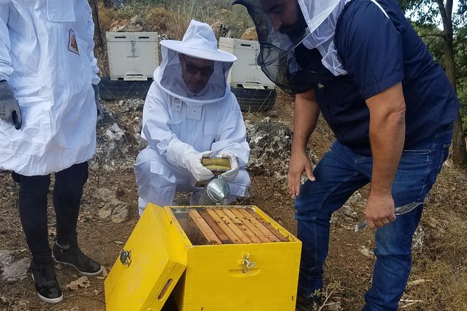 Wine, Olive Oil, and Honey Tour with Winemaker - Five useful things to know before booking