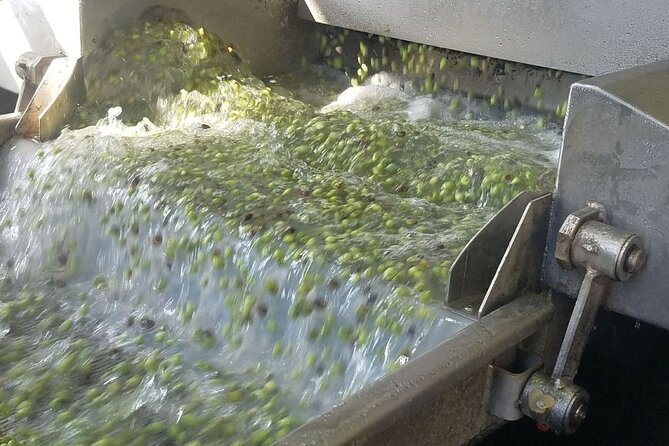 Wine, Olive Oil, and Honey Tour with Winemaker - Tsikoudia and the taste of local hospitality